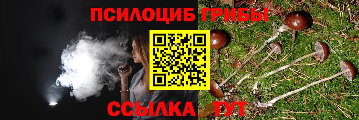 Галлюциногенные грибы мицелий Гулькевичи
