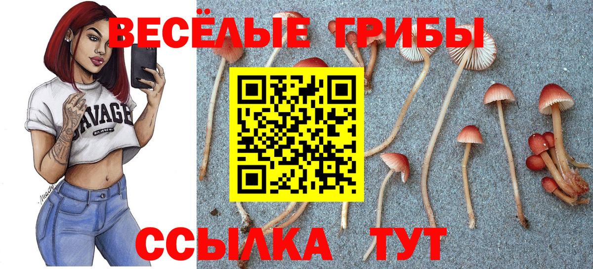 Гулькевичи  купить наркоту  Вход с VPN  Псилоцибиновые грибы MAGIC MUSHROOMS 